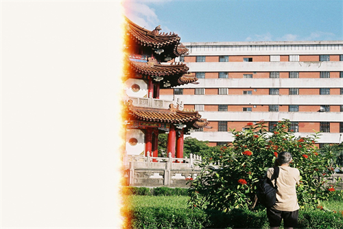 信任剧情介绍(电视剧信任)